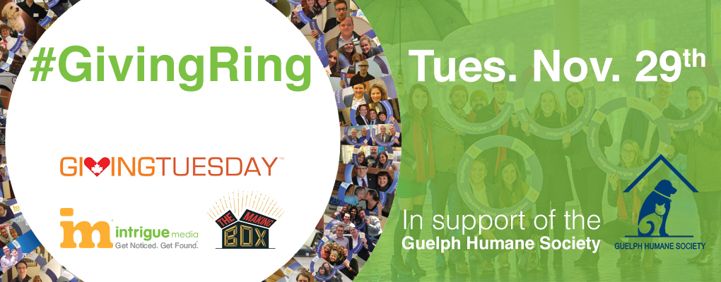 Intrigue campaign for Giving Tuesday is the #GivingRing